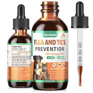 Premium imported Oral Flea and Tick Prevention for dogs and cats, available at Curat Cart. Repels fleas, ticks, and promotes body support.