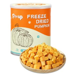 Premium imported PAWUP Freeze Dried Pumpkin Treats in a stylish canister, perfect for health-conscious pet owners. Available at Curat Cart.