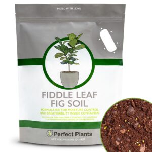 Premium imported Fiddle Leaf Fig Soil by Perfect Plants ensures moisture control for healthy growth. Available at Curat Cart.
