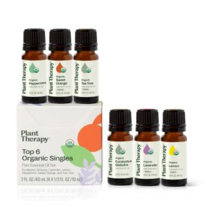 Discover the premium imported Plant Therapy Organic Essential Oil Set at Curat Cart, featuring top 6 organic singles for wellness.
