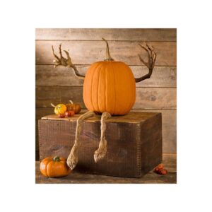 Discover the Plow & Hearth Bendable Pumpkin Arms Legs, a premium import perfect for festive decor, available at Curat Cart.