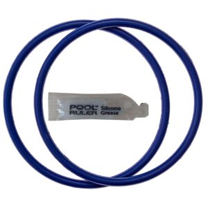 Premium imported Pentair Chlorinator O-Ring Pack with silicone grease, available at Curat Cart for your pool maintenance needs.