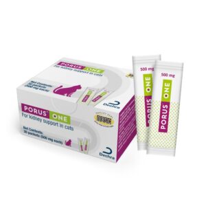 Porus One for Cats offers premium imported kidney support in convenient packets. Available at Curat Cart for your feline's health.