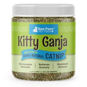 Discover Raw Paws Dried Fresh Catnip, a premium imported treat that encourages exercise and relieves anxiety. Available at Curat Cart.