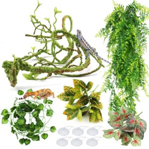 Enhance your reptile habitat with premium imported Reptile Plants Terrarium Hanging Vines from Curat Cart, ideal for creating a vibrant environment.