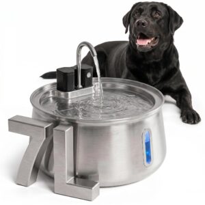 Elevate your pet's hydration with the Selene Wireless Doggy Fountain, a premium import available at Curat Cart, designed for style and functionality.