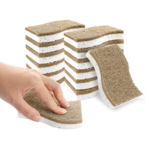 Discover the premium imported SetSail Natural Kitchen Sponges, perfect for eco-friendly cleaning. Available at Curat Cart.