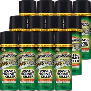 Spectracide Wasp & Hornet Killer, premium imported pest control solution, available at Curat Cart for effective wasp elimination.