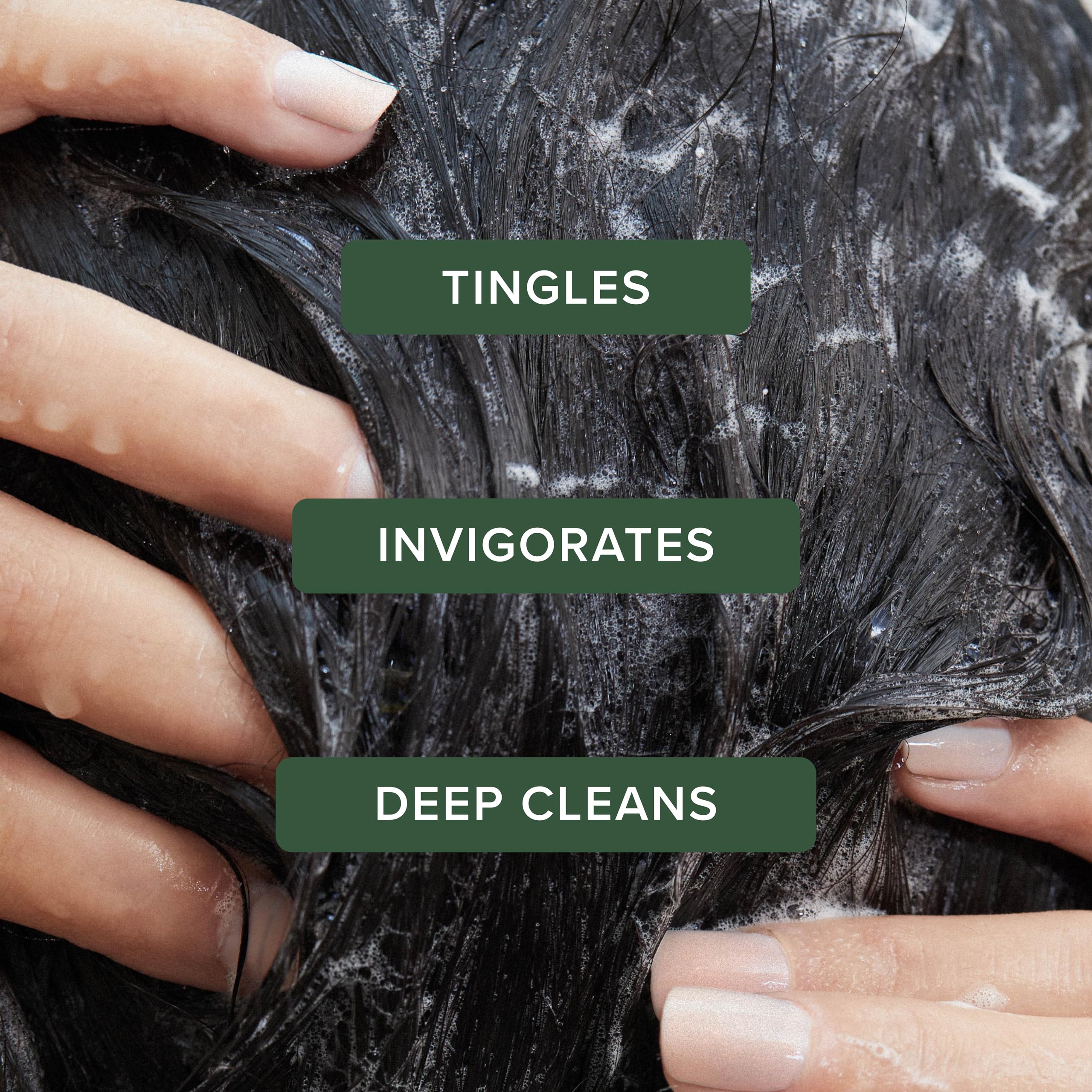 Experience the invigorating Tea Tree Special Shampoo. Available in India, order online for deep cleansing and refreshing results.