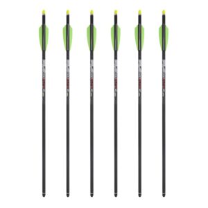 Premium imported TenPoint Pro Elite Carbon Crossbow Arrows showcased in a sleek arrangement at Curat Cart. Perfect for precision shooting.