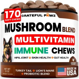 Premium imported Turkey Tail Mushroom Supplement for Dogs, supporting hip, joint, and gut health. Available at Curat Cart.