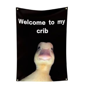 Elevate your space with the premium imported Welcome to My Crib Flag, perfect for quirky decor. Available at Curat Cart.
