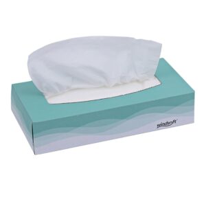 Experience premium imported Windsoft Facial Tissue in a stylish box, perfect for everyday use. Available at Curat Cart.