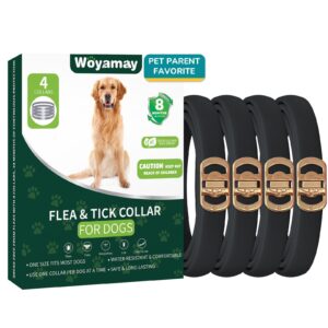 Woyamay Flea Collar for Dogs, premium import offering 8 months of protection. Available at Curat Cart for lasting comfort.