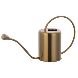 Yowon Stainless Steel Watering Can, a premium imported choice for stylish gardening, available at Curat Cart.